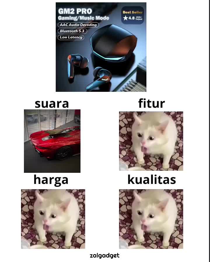 @ZalGadget√