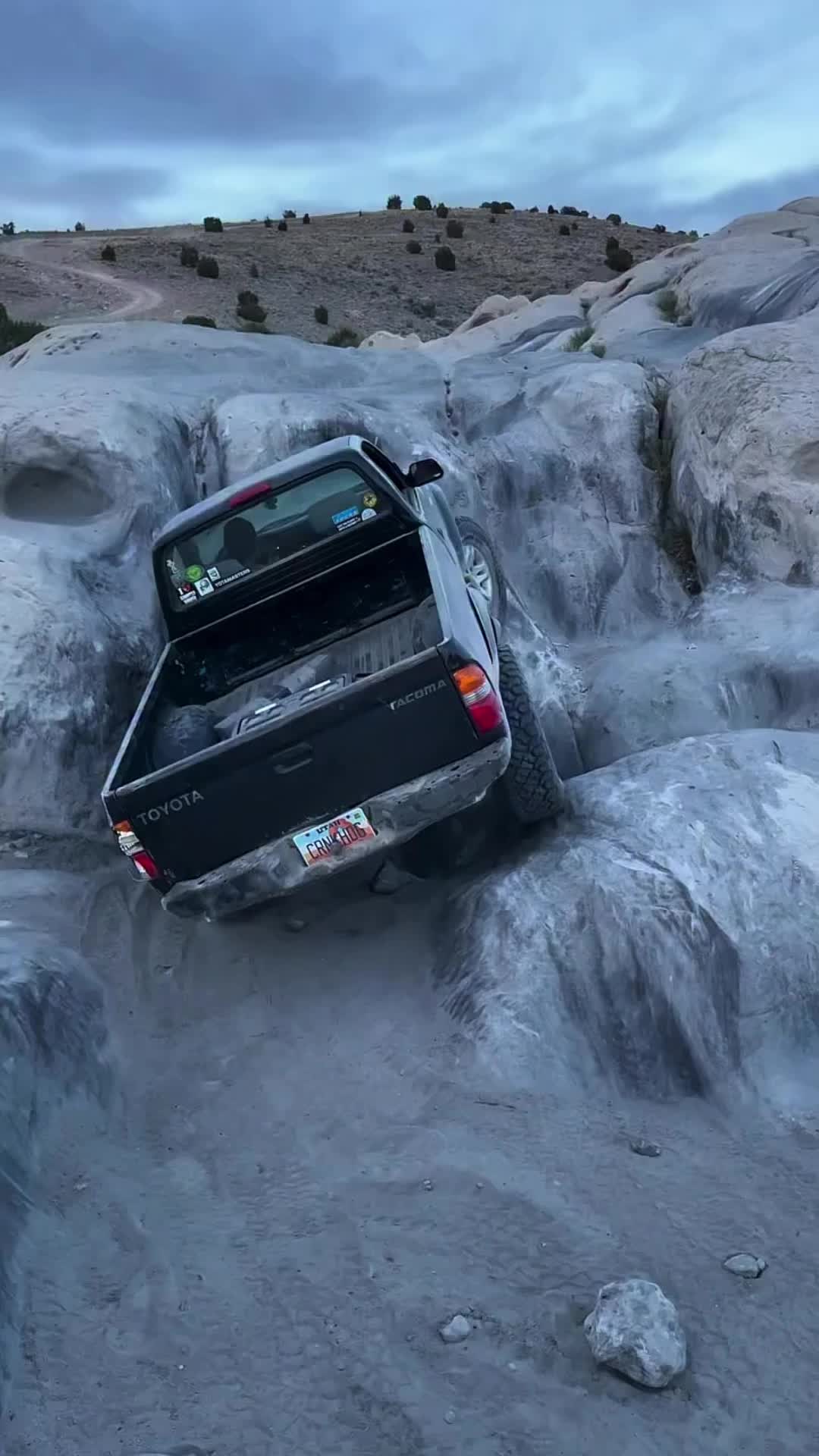 @Alaska Spring