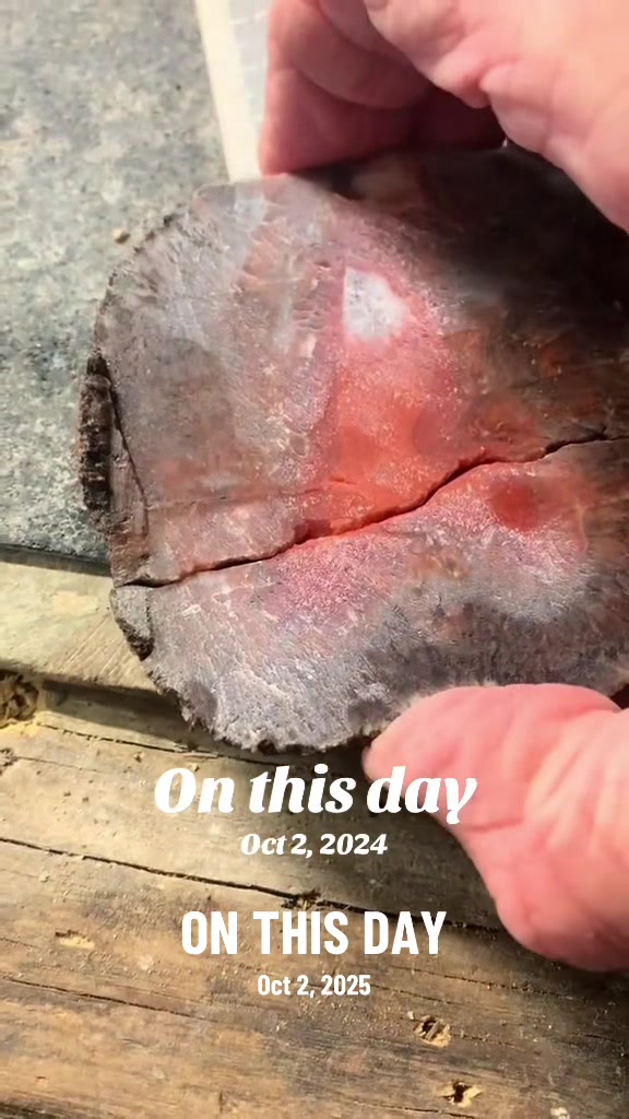 @✝️slytlyflawed lapidary✝️