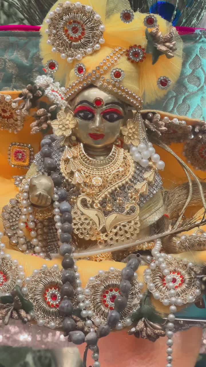 @Bhavika Gor