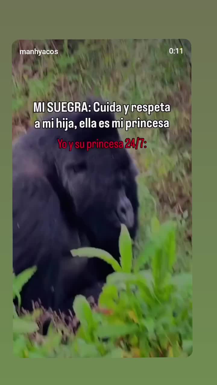 @Mr.duval&iacute;n...