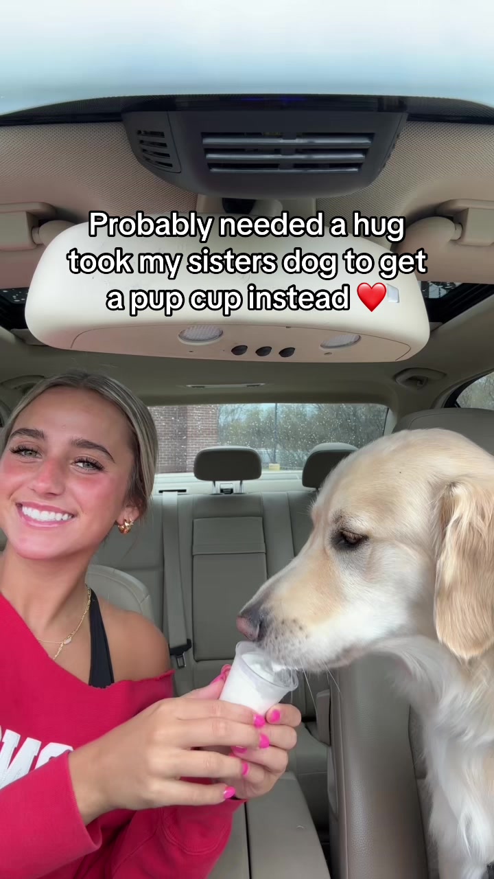@ciciherlofskyy