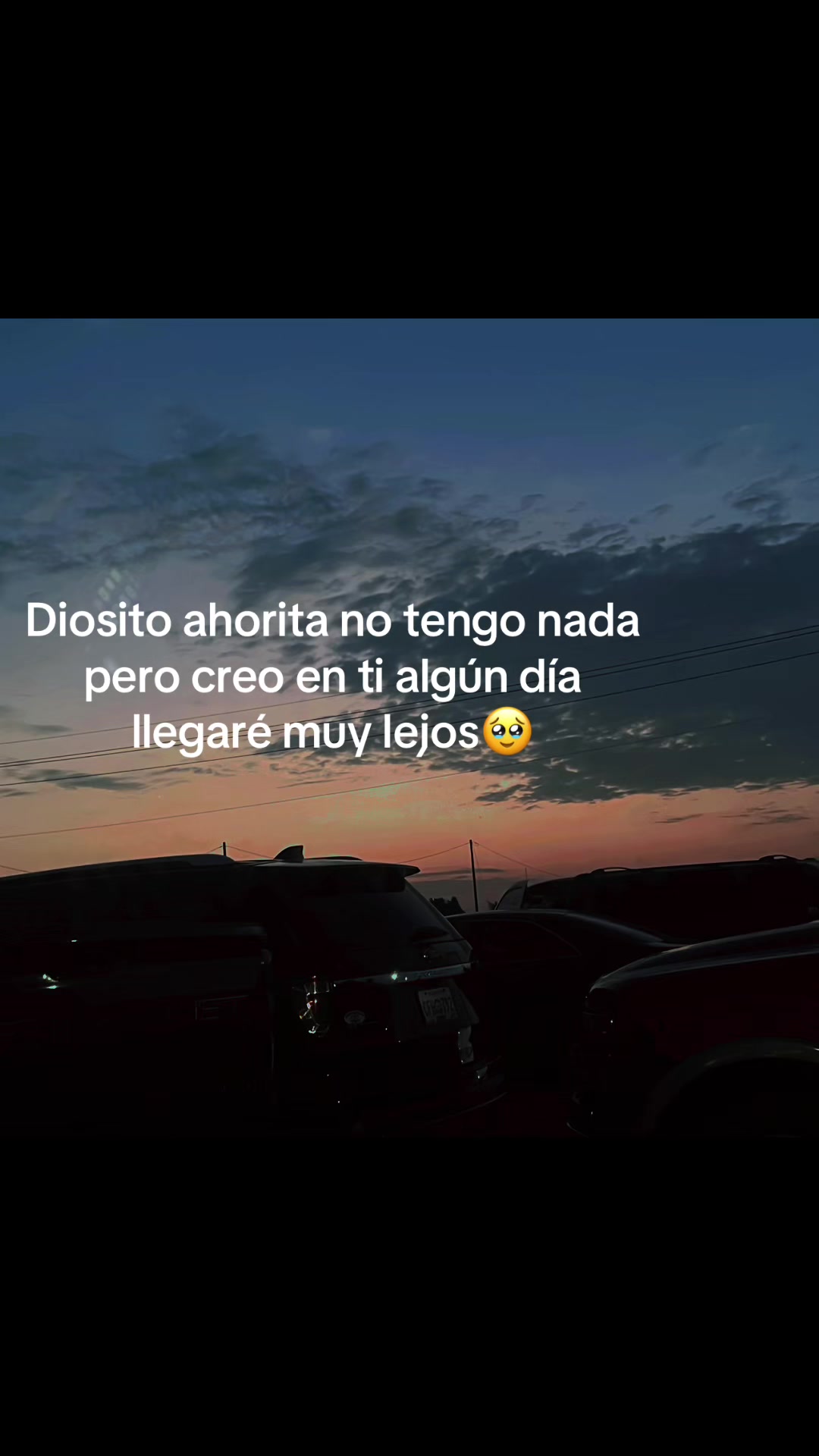 @Flory G 🌺