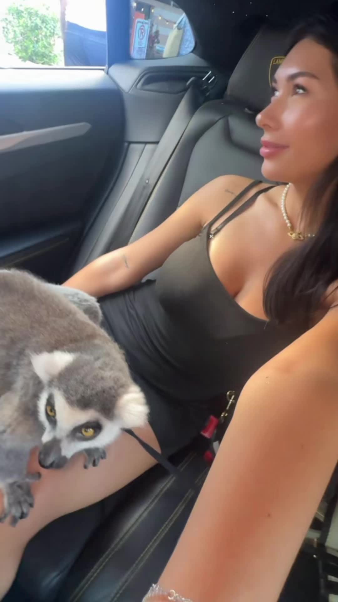 @gisellereeves_