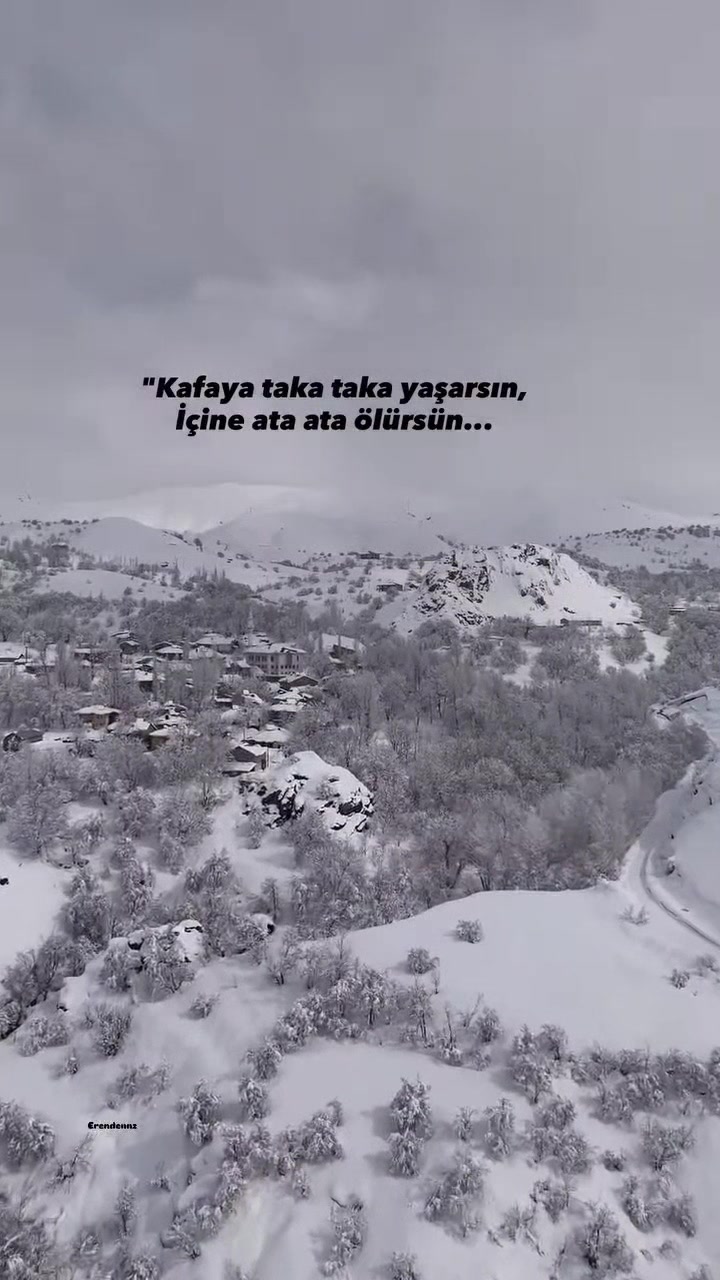 @MUSTAFA🙂↔️