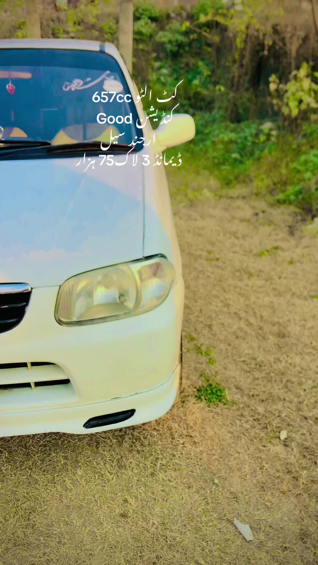 @ncpcarlover1