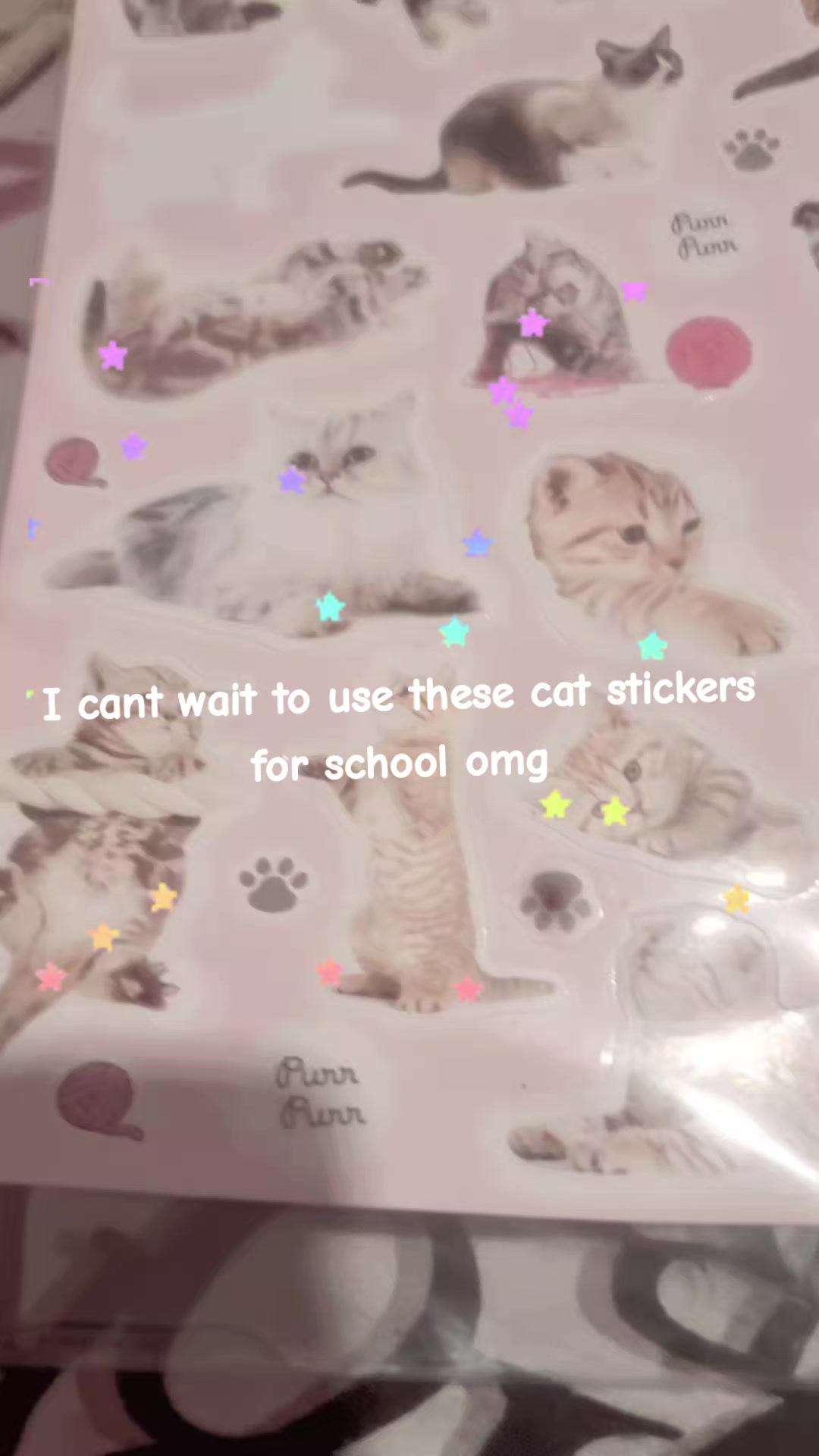 @˚₊‧꒰ა Konni ໒꒱ ‧₊˚