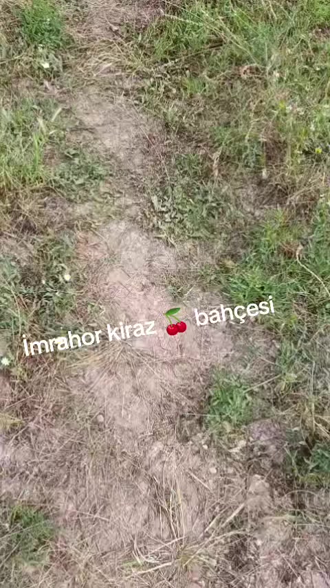 @Hasan Avşar