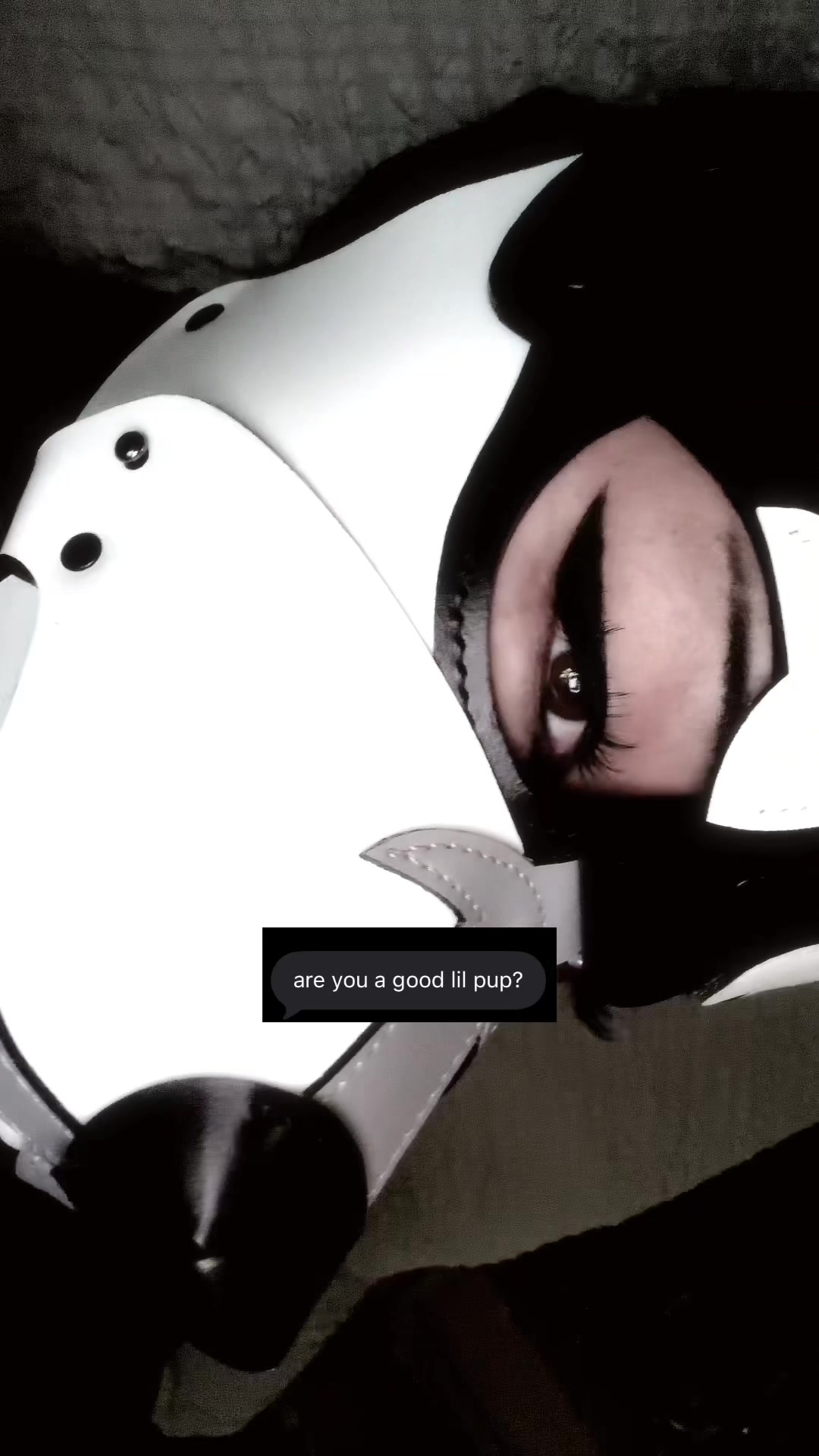 @𝑪𝑨𝑹𝑵𝑨𝑮𝑬