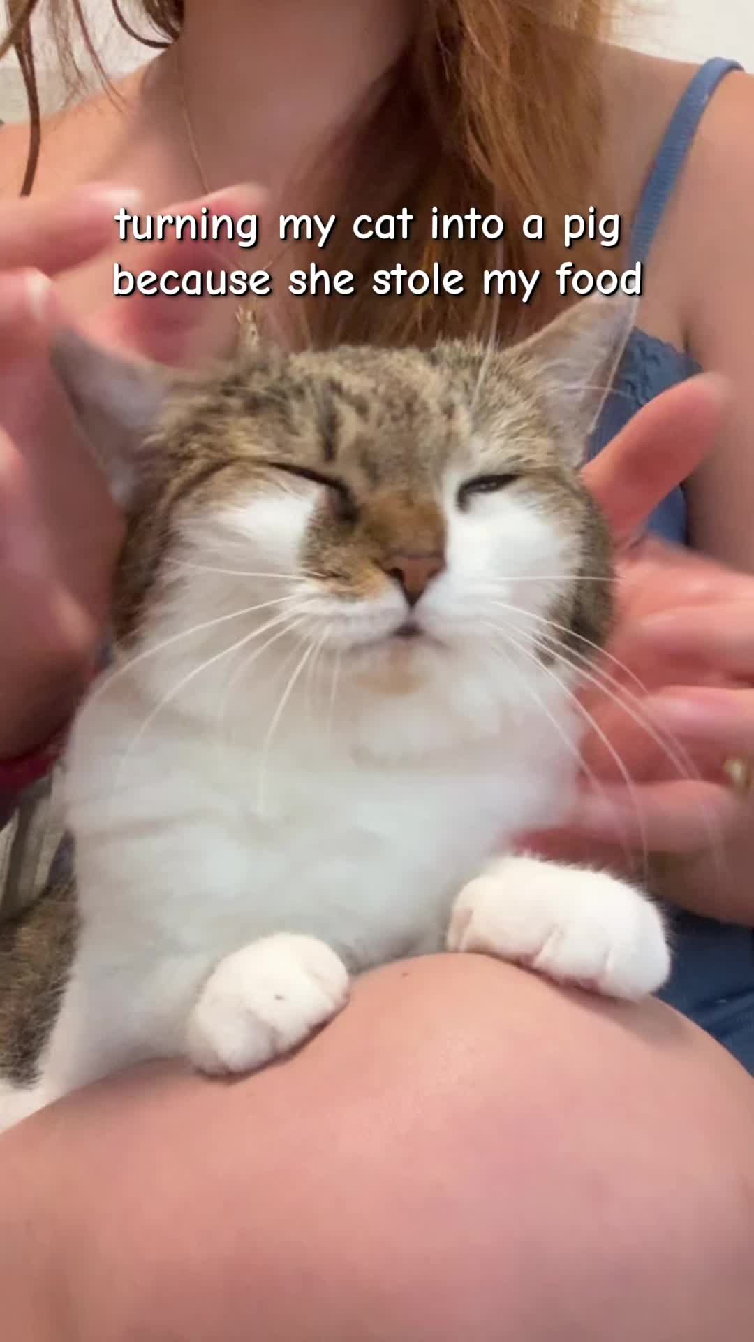 @Suki Purrs