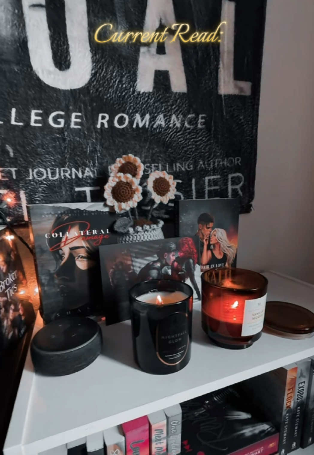 @Danielle Reads 📚☕️ 🧸