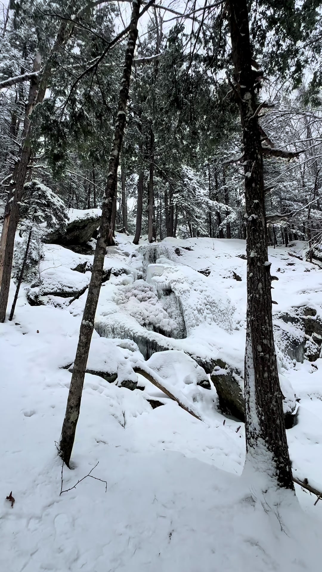 @whitemountainsnh