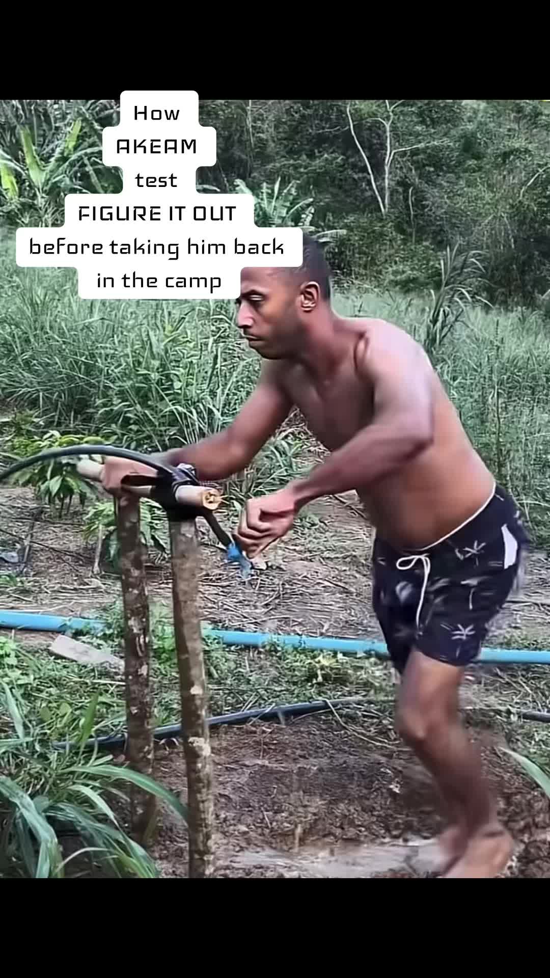 @serialcornflakes