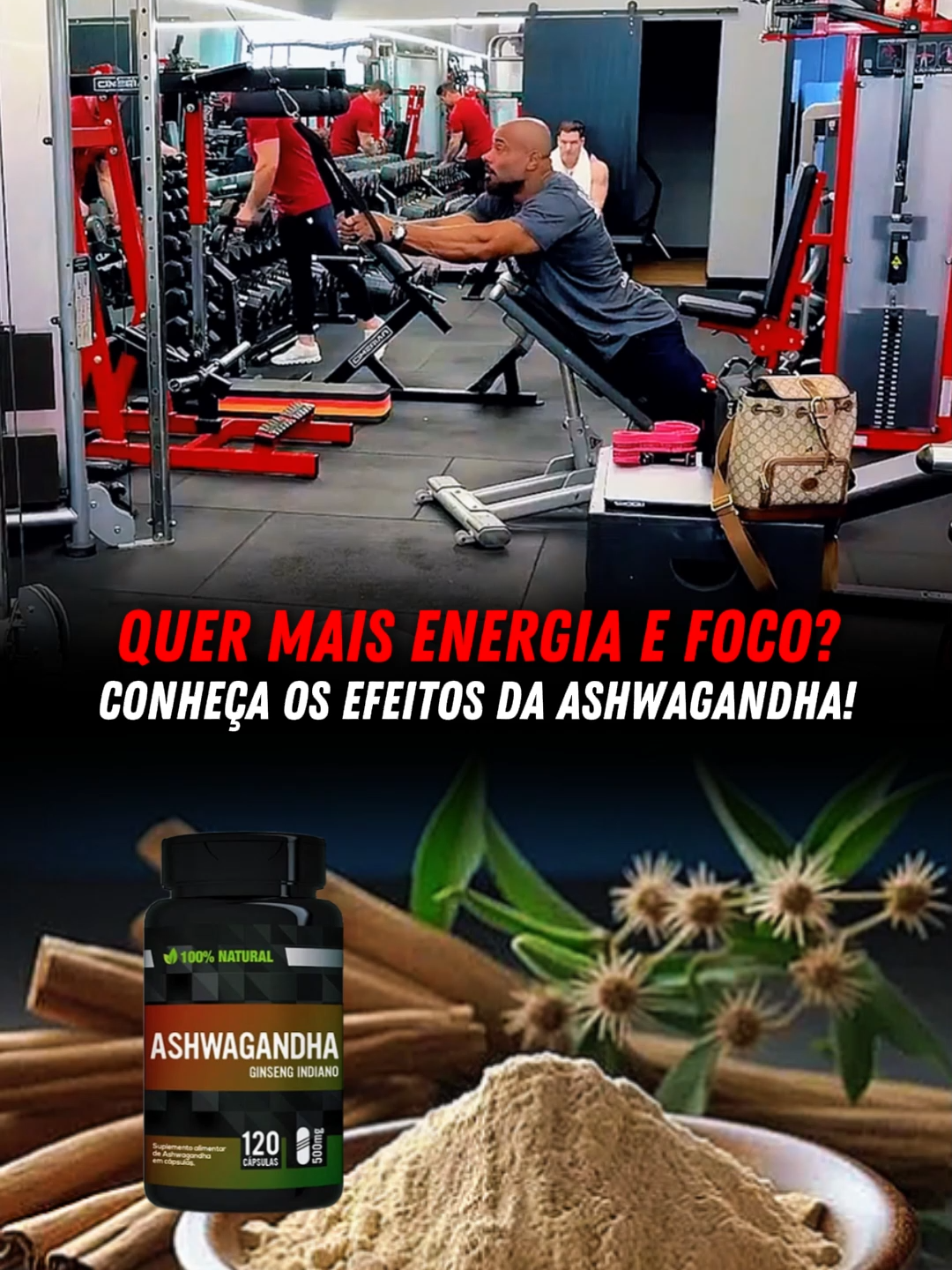 @Projeto Monstro