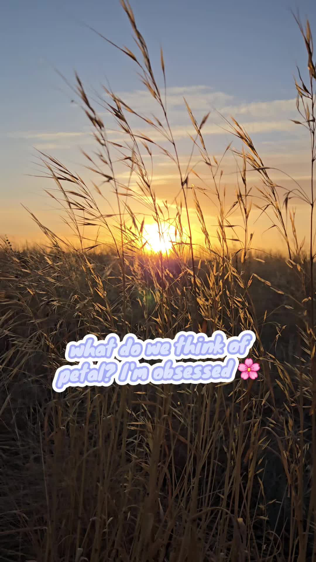 @cynthia_healing