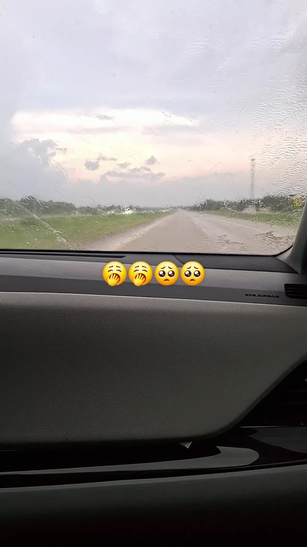 @Sandra Garcia Mendoza