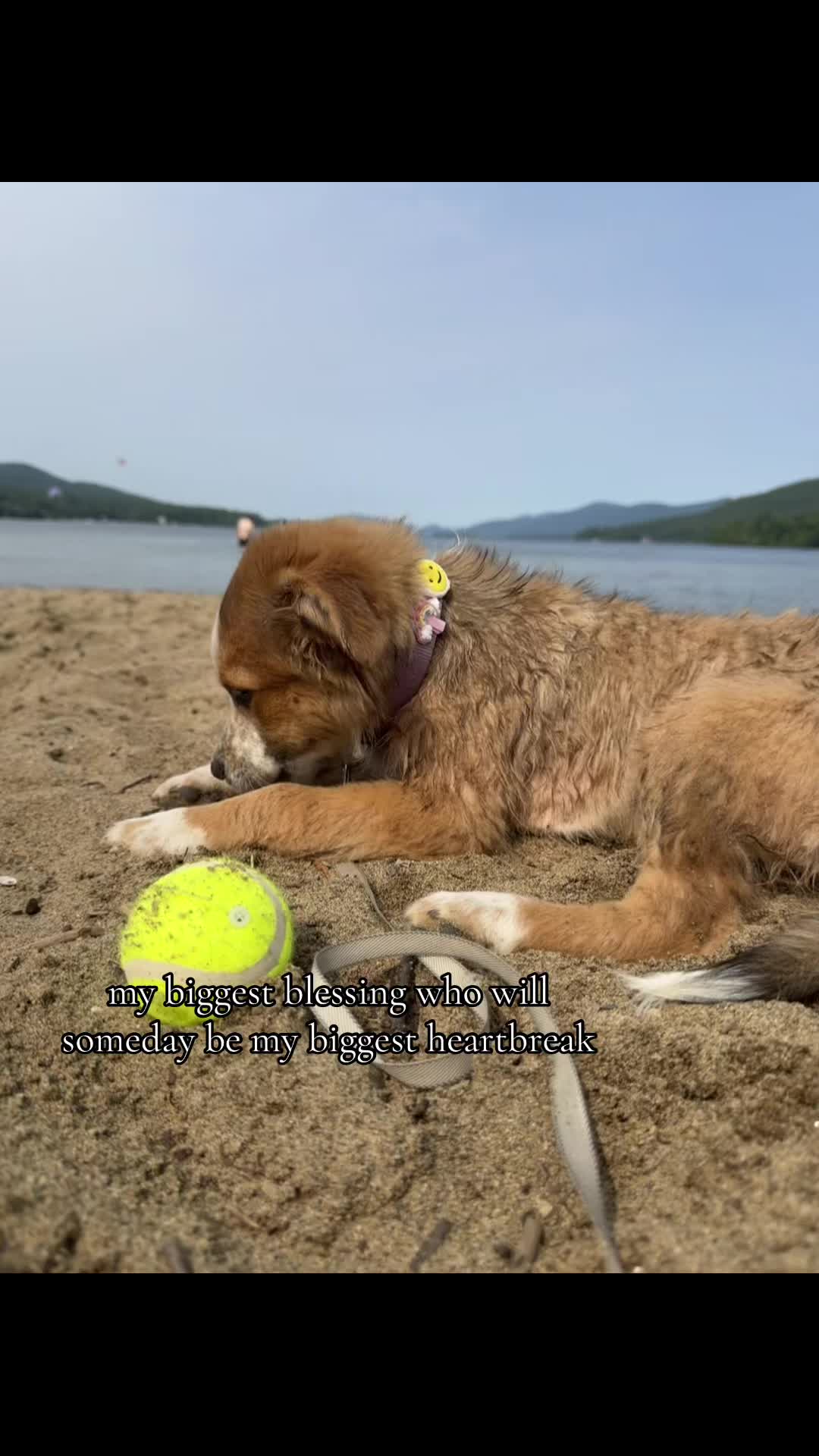 @Charlie & Mable