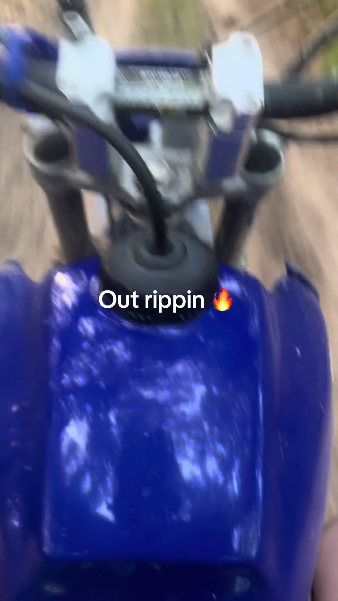 @dirtbike 300