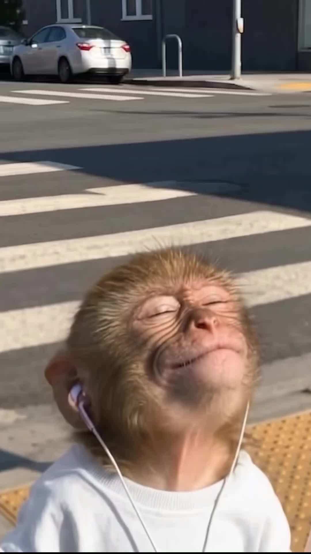 @danyetoker