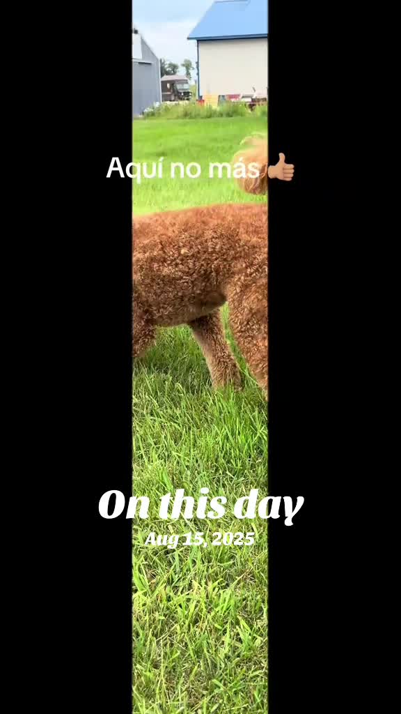 @Reyna y Churro 🐶😍