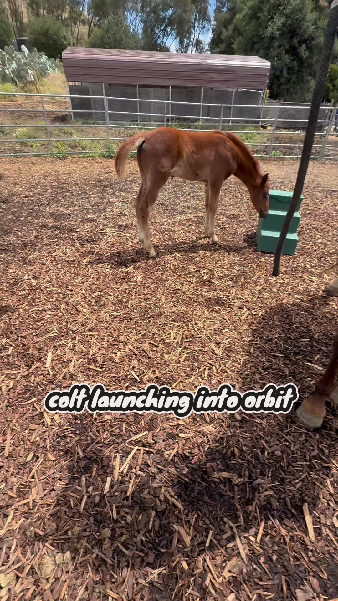 @BoeRanch14