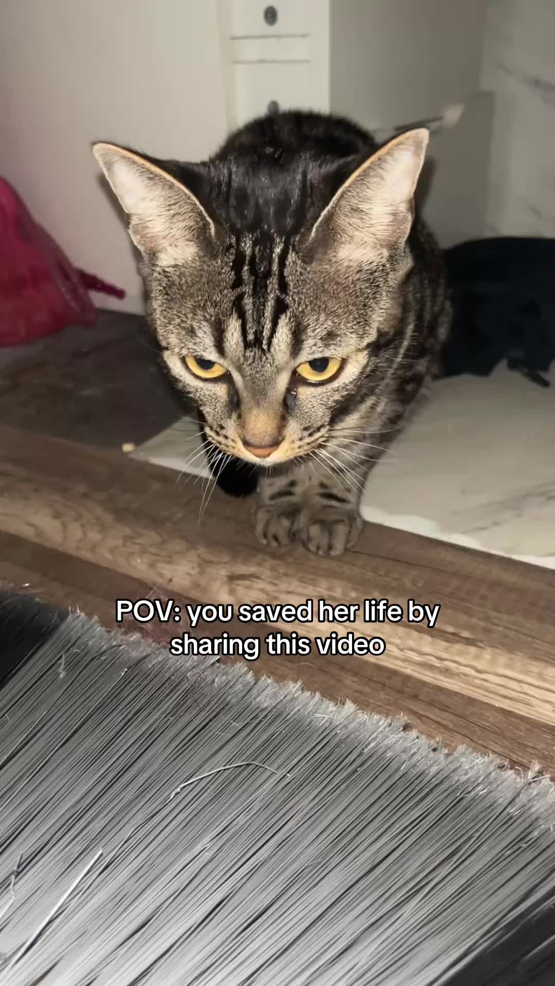 @Olivia