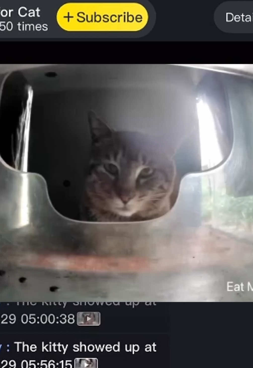 @Purrrr