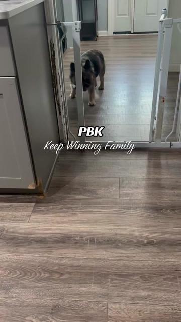 @prettyboykennels