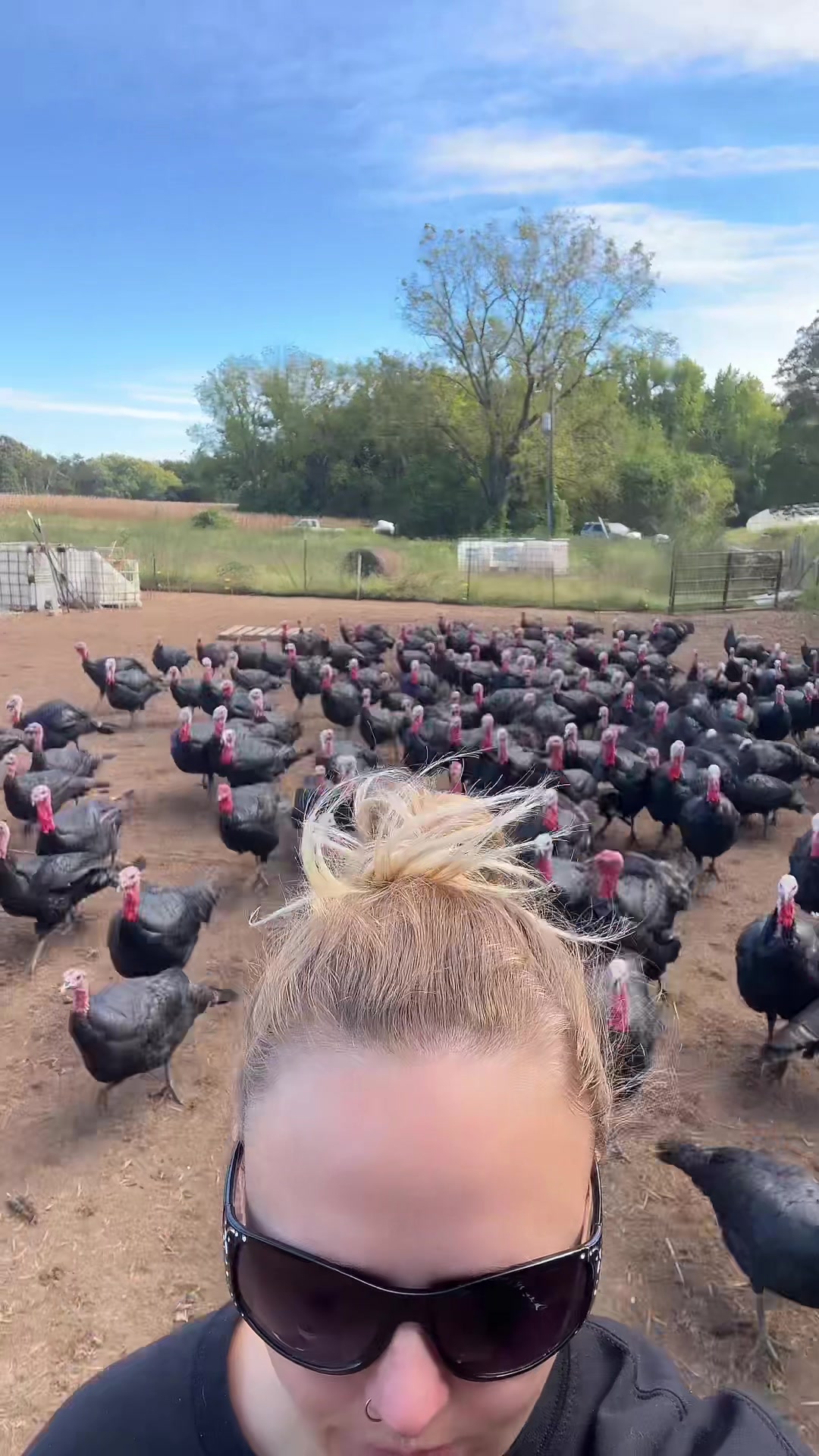 @farmerandtheharpiist