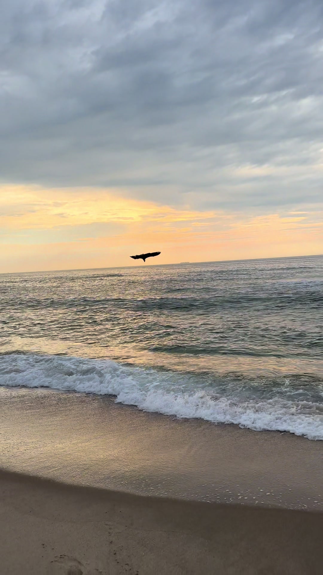 @SurfcastNJ Joe Gray