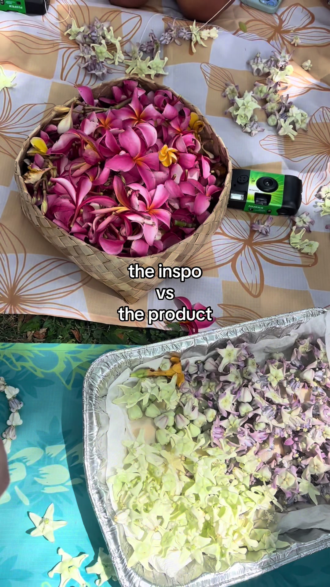 @Ti 🦋⚡️