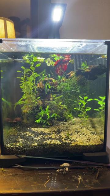 @M+W=AWESOME
