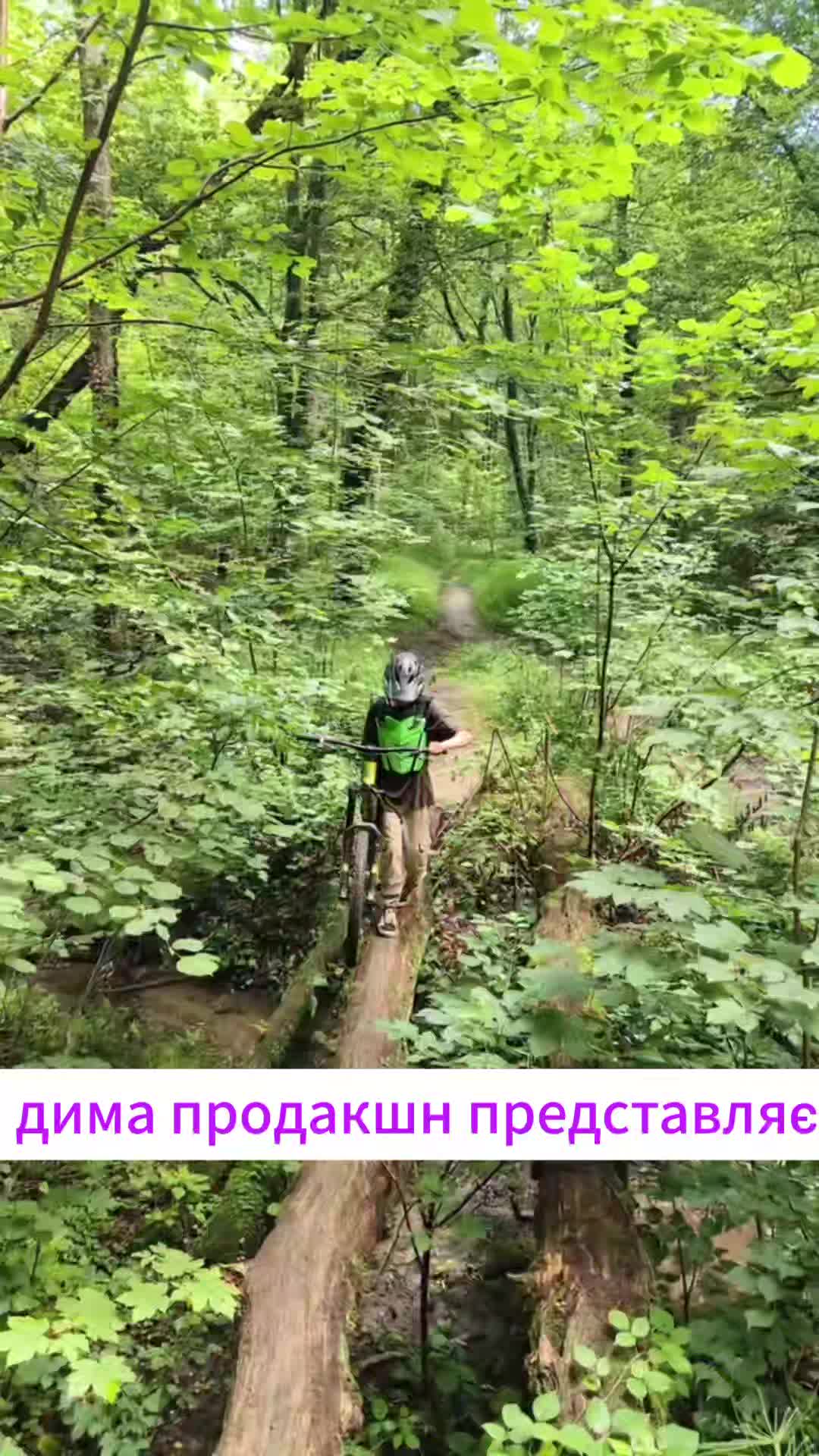 @bergamont_diorter