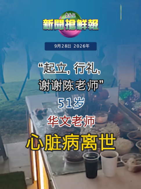 @中国报