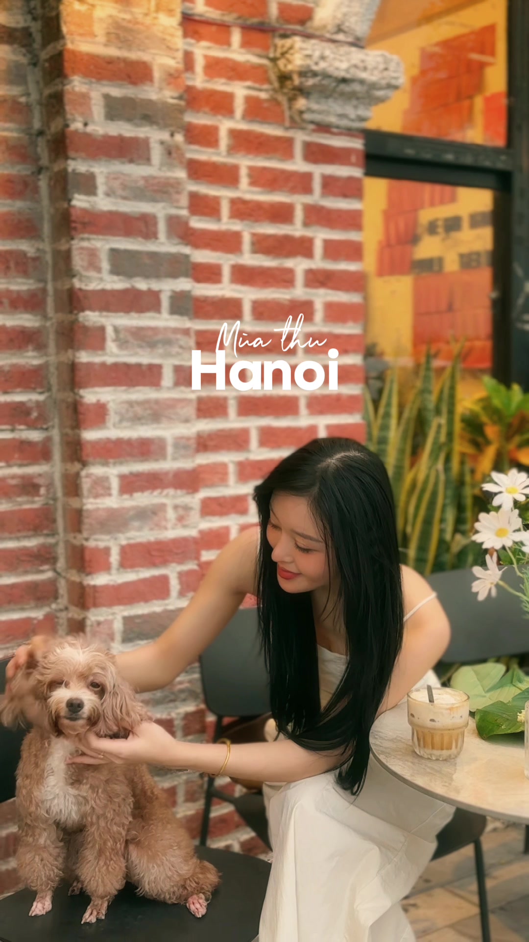 @Thảo Vy