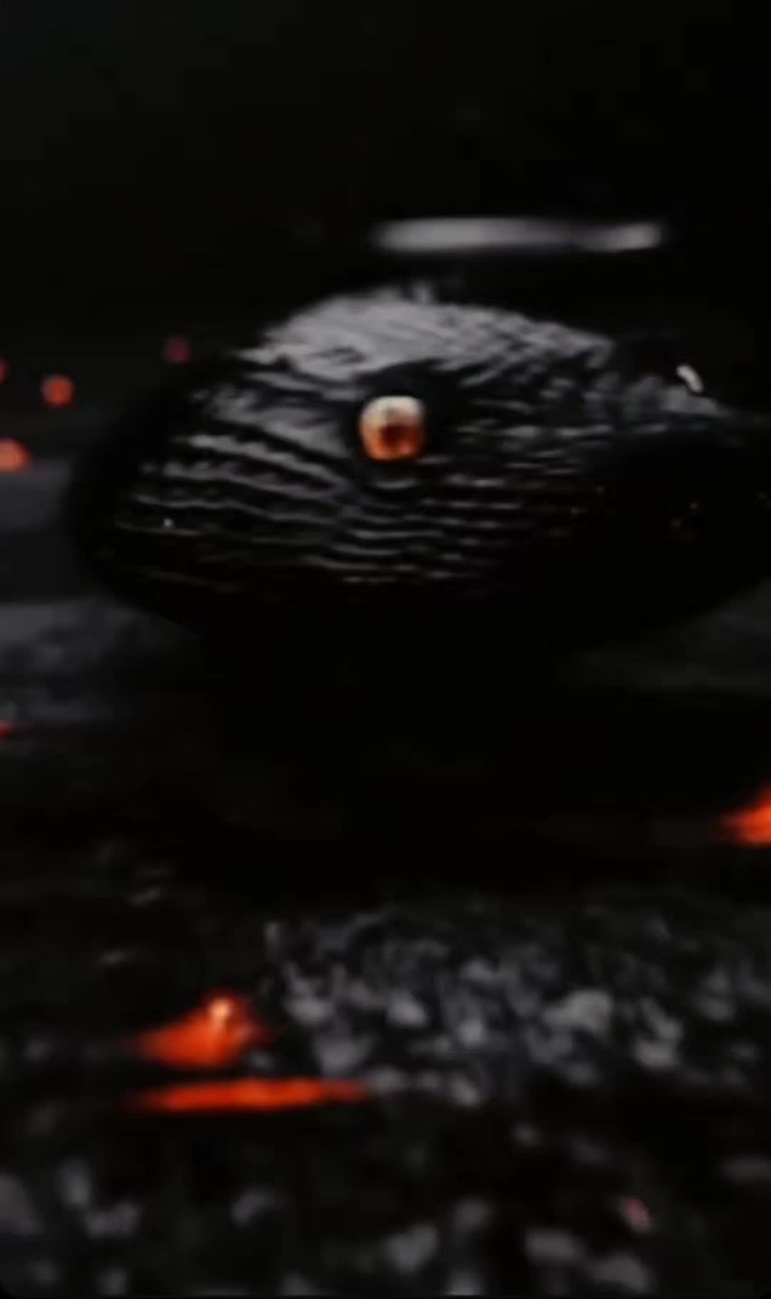 @LiLiSliide🐍⚔️🗡