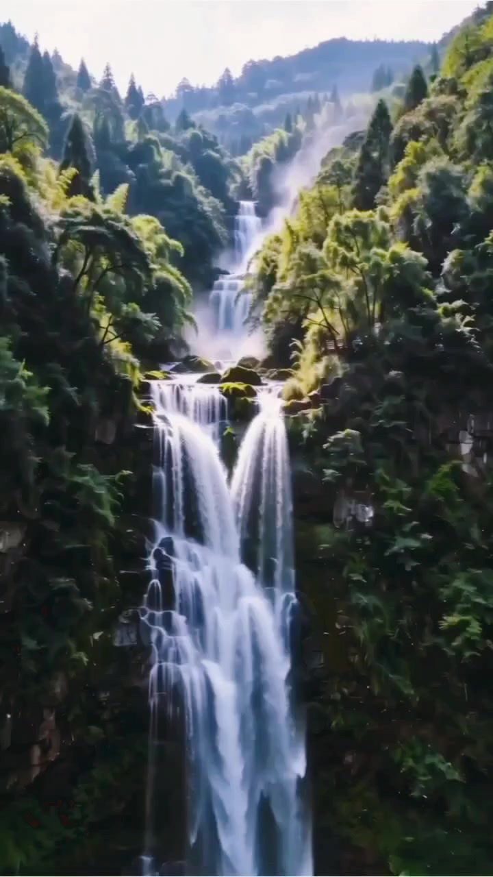 @Lionghoaho