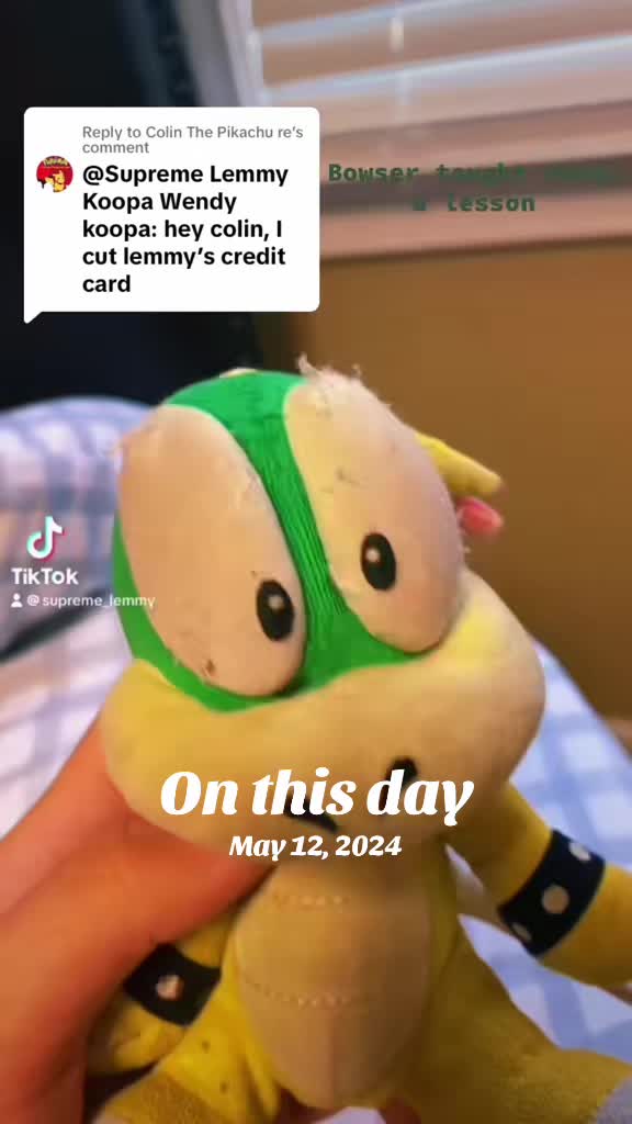 @Supreme Lemmy Koopa