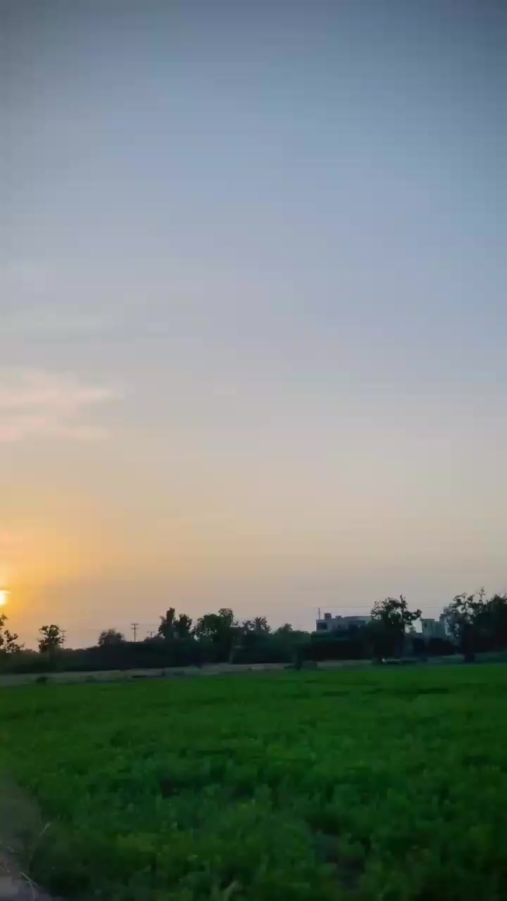 @Dolatsejwani002