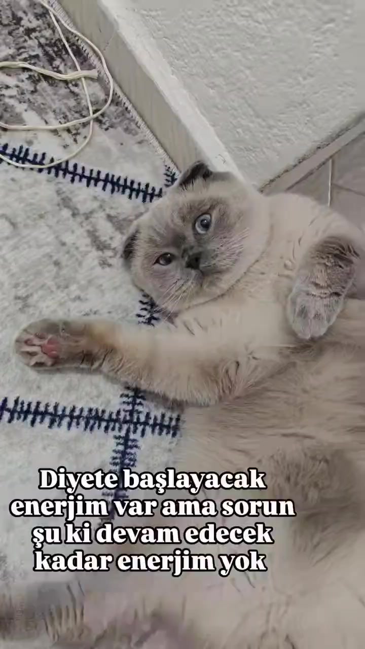 @💙SÜTLAÇ BEY💙