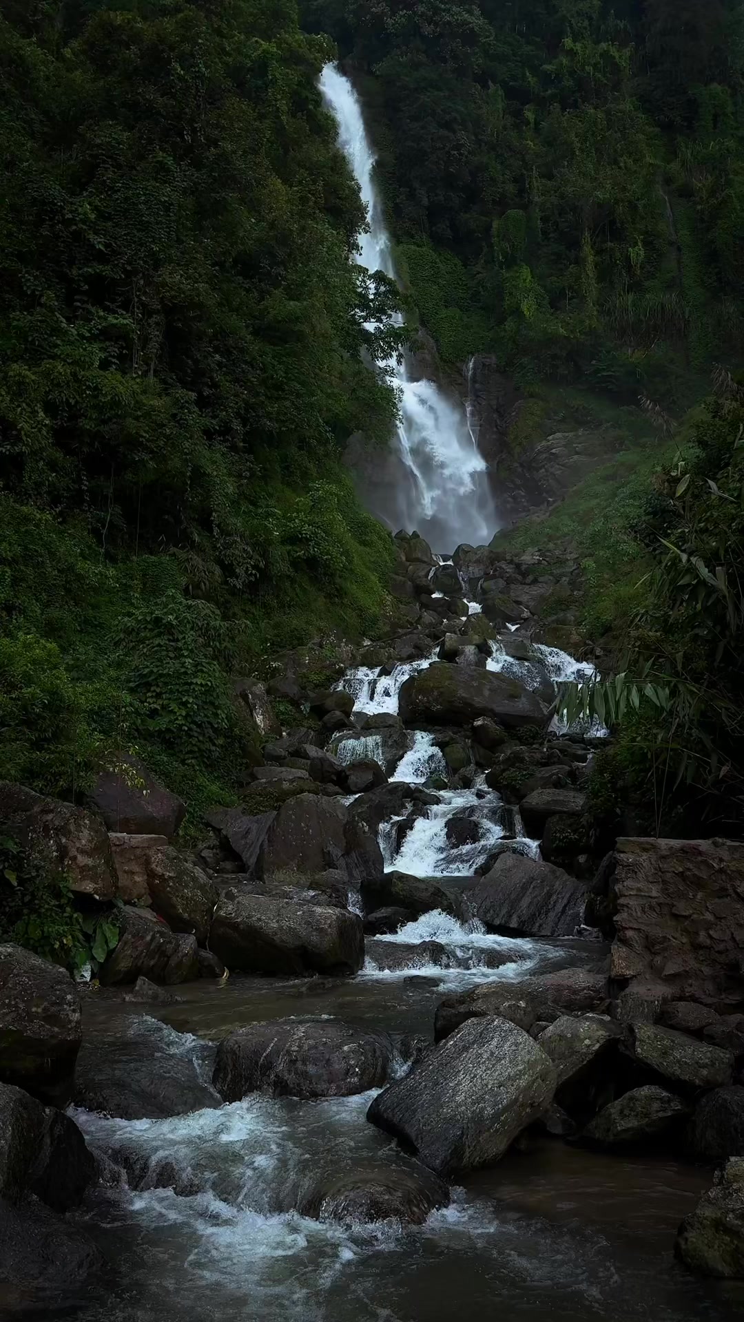 @Sudarshan Neupane