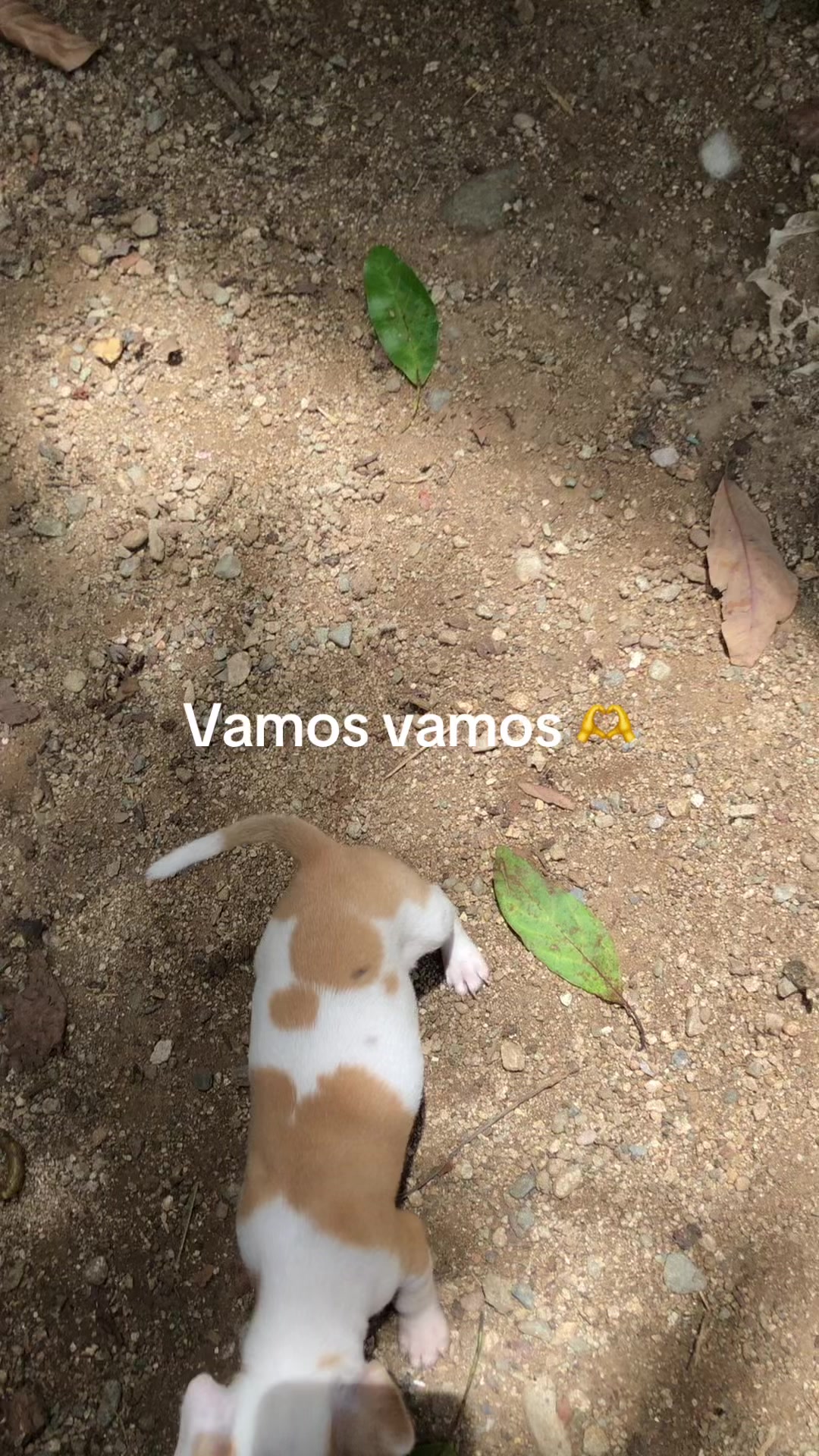 @Pablito Gómez