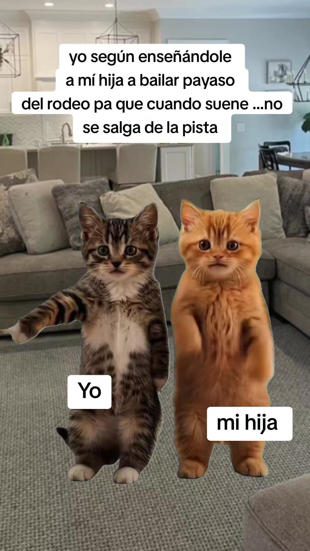 @la do&ntilde;ita 😎😜