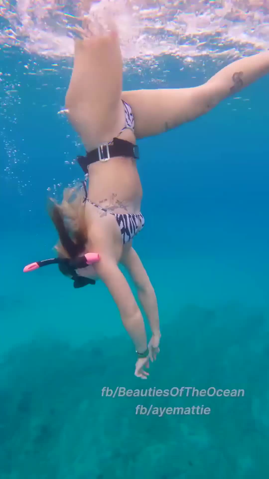 @thitthu183