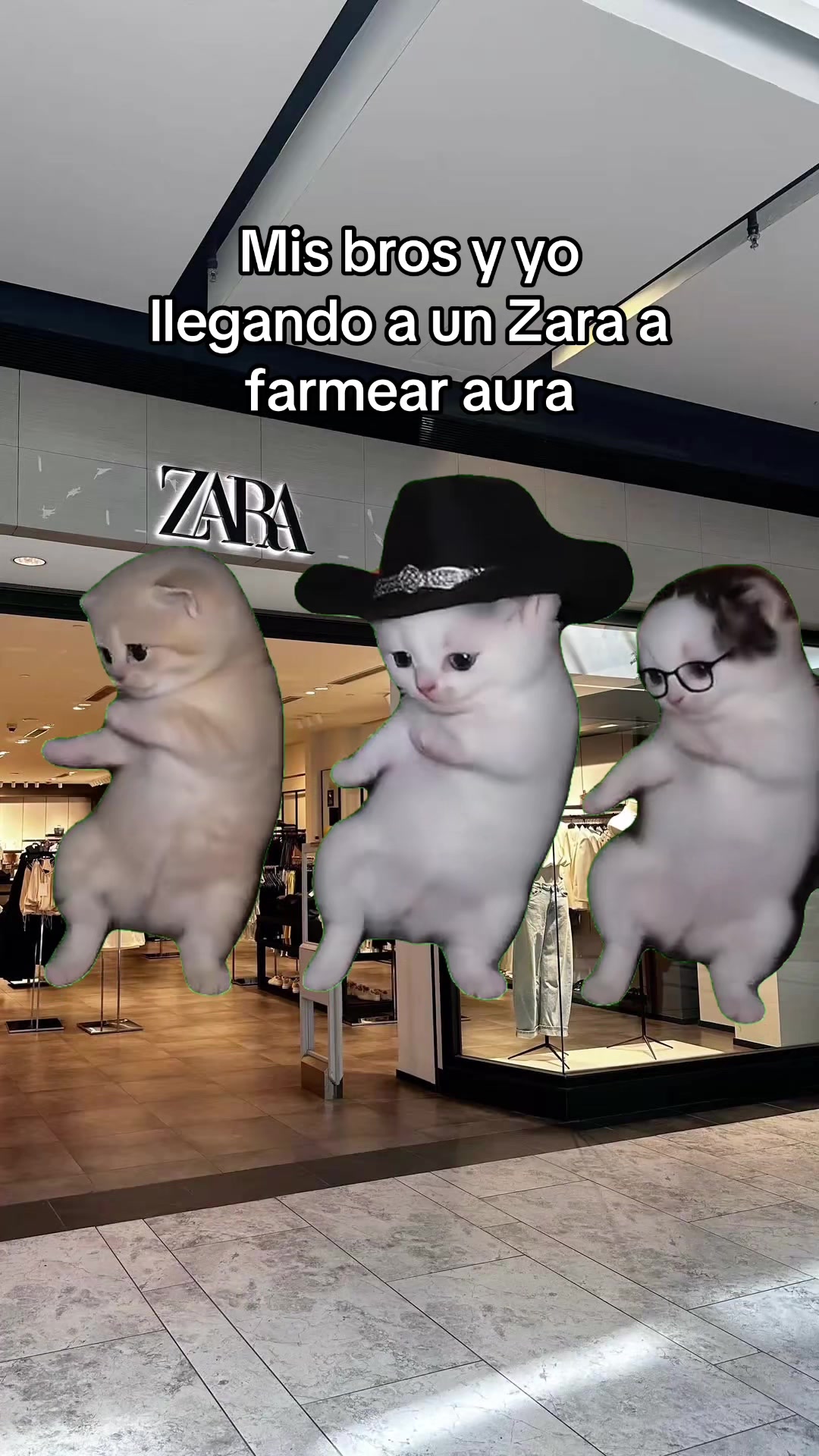 @zarahouseplaylist