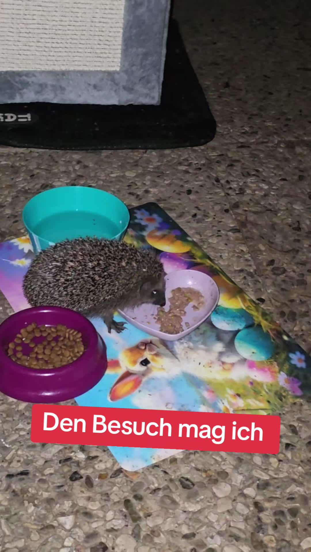 @Janine&Schatzi die echten