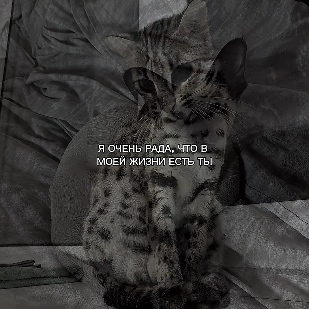 @ХХИКА