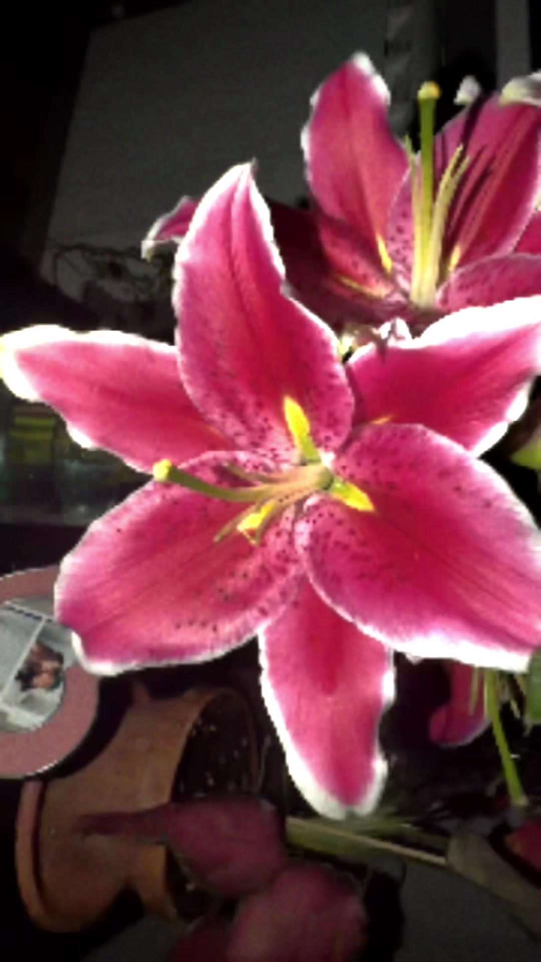 @kisa2003