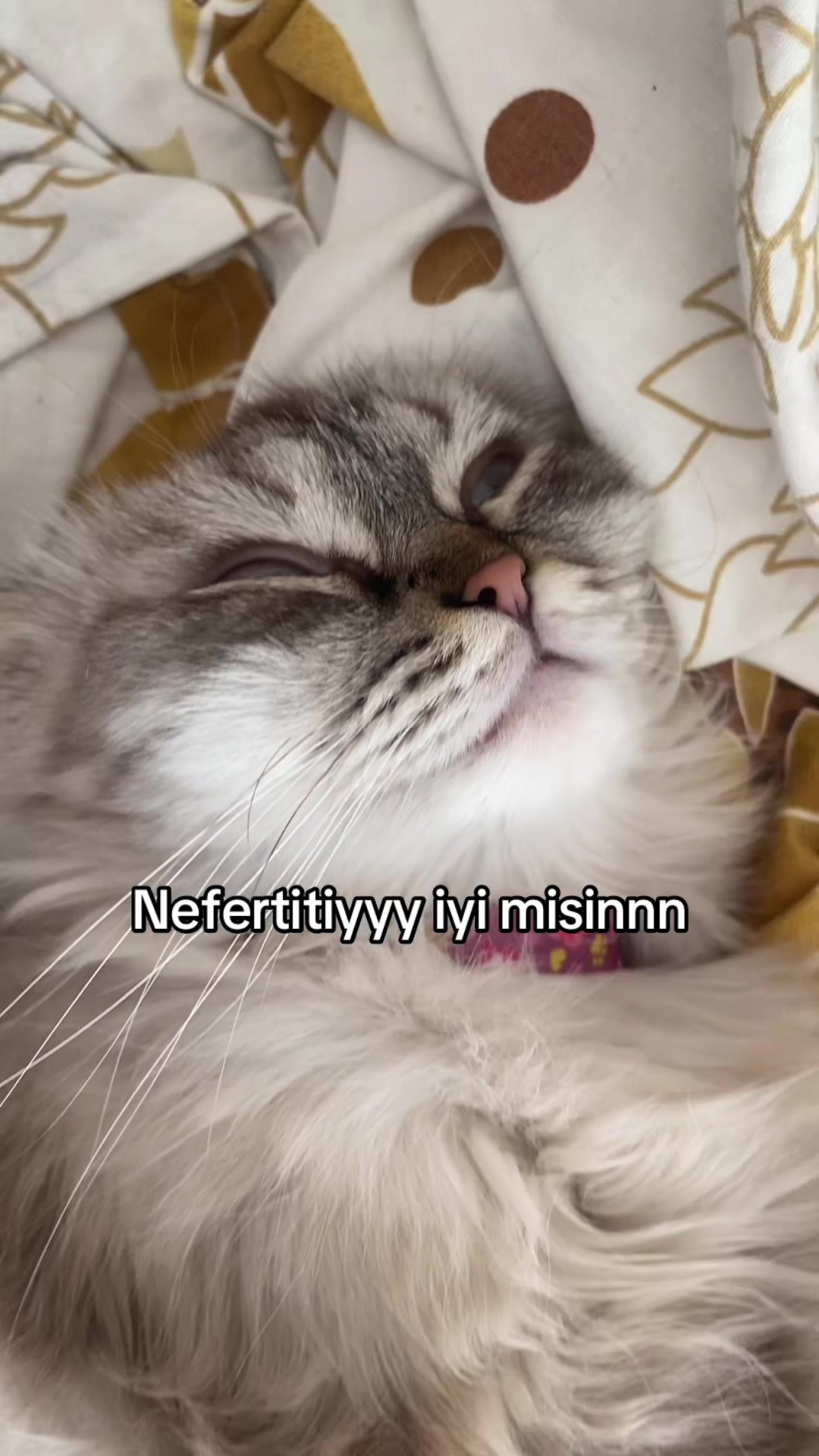 @Naz ☆