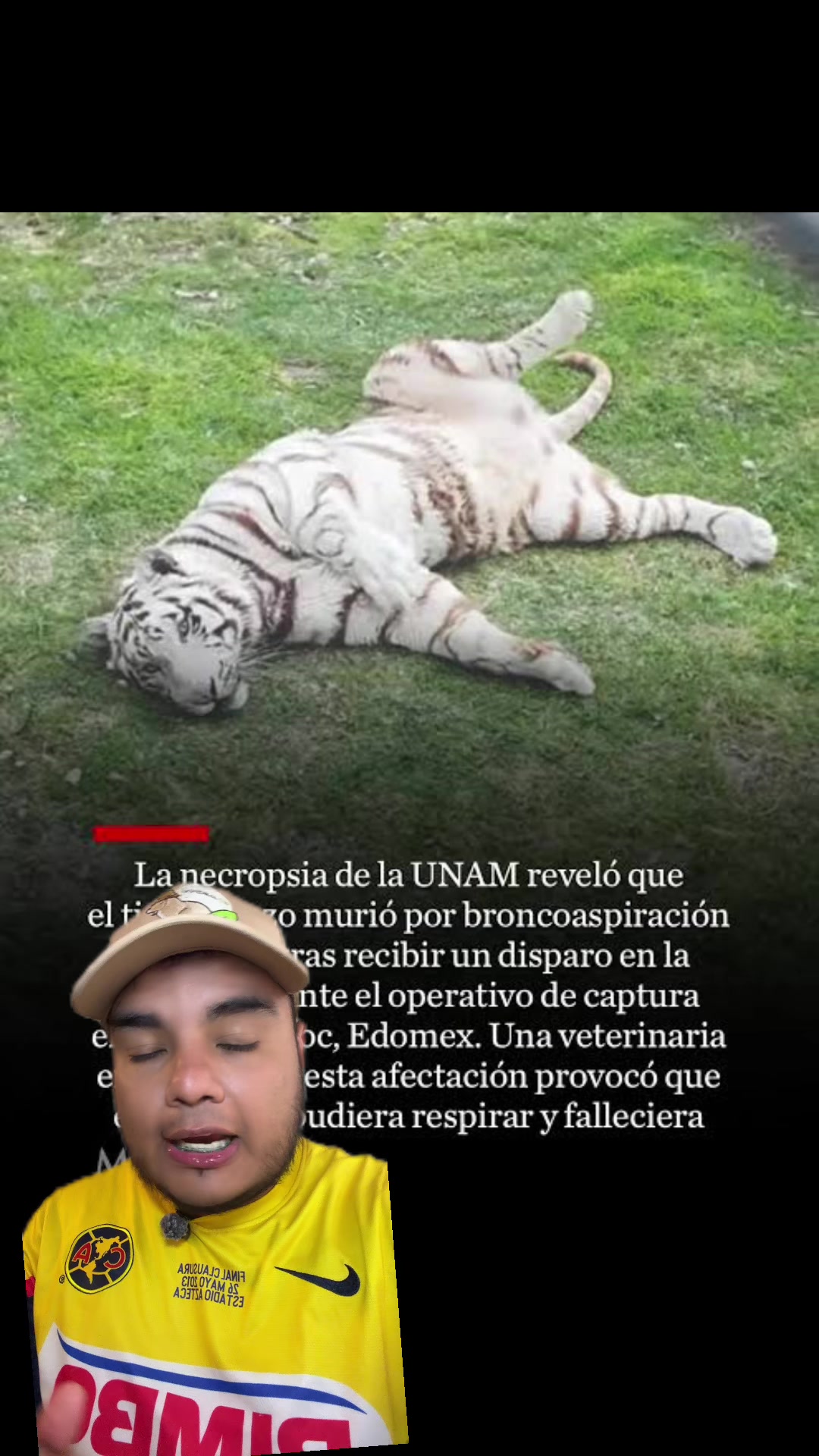 @Jair Herrera 🐆